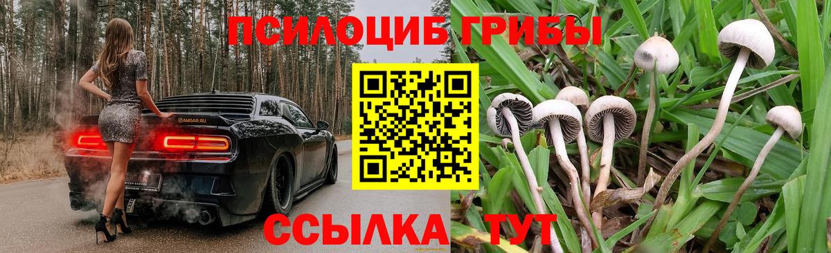 Псилоцибиновые грибы GOLDEN TEACHER Котельники